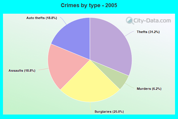 Crimes by type - 2005