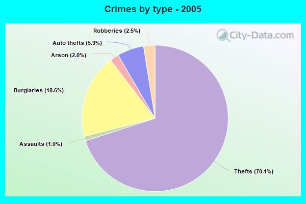 Crimes by type - 2005