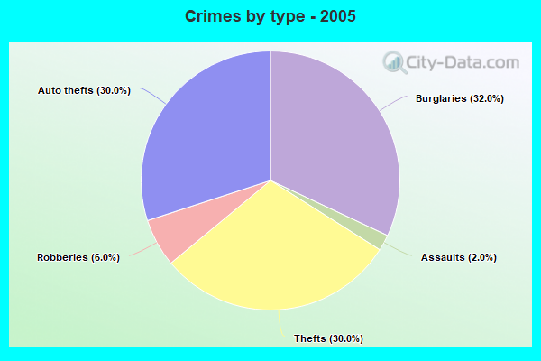 Crimes by type - 2005