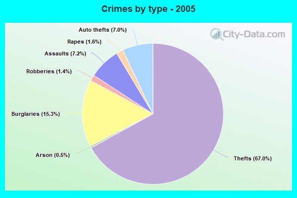 Crimes by type - 2005