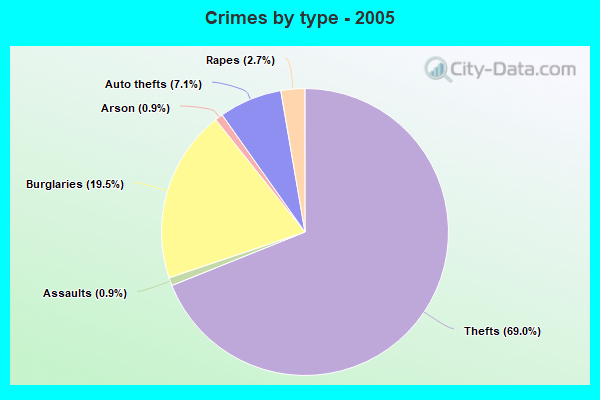 Crimes by type - 2005