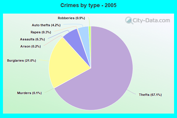 Crimes by type - 2005