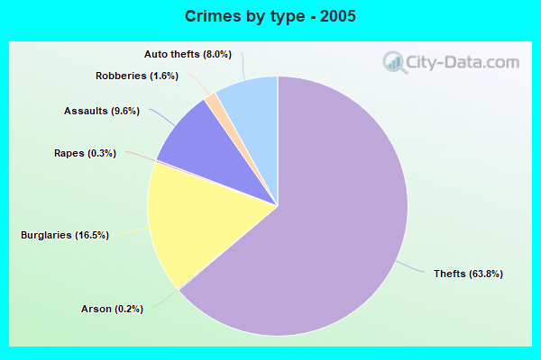 Crimes by type - 2005