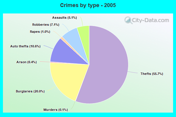 Crimes by type - 2005