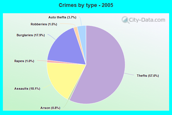 Crimes by type - 2005