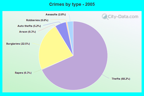 Crimes by type - 2005