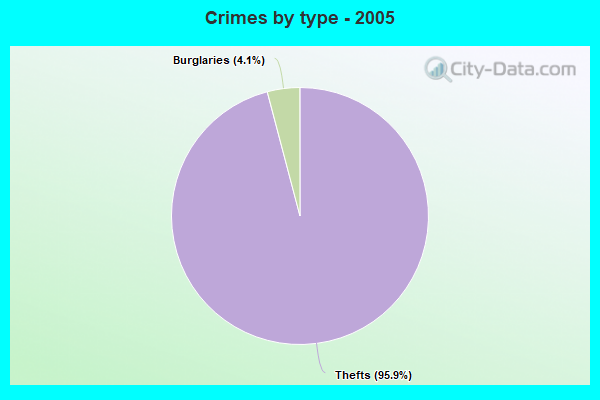 Crimes by type - 2005