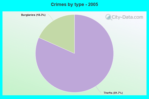 Crimes by type - 2005