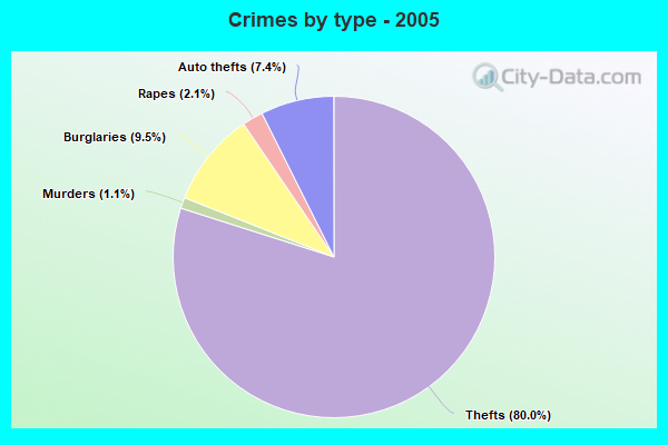 Crimes by type - 2005