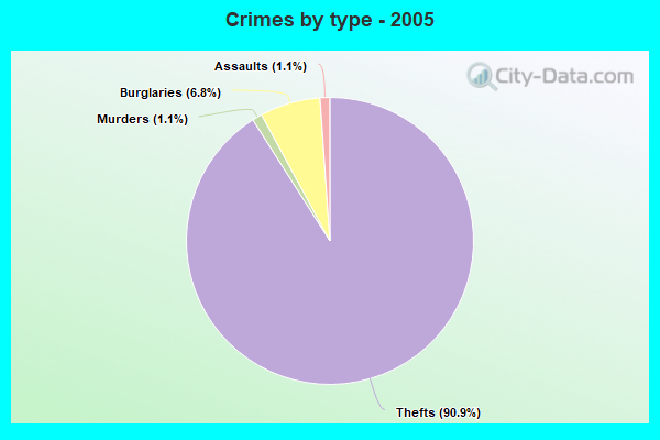 Crimes by type - 2005