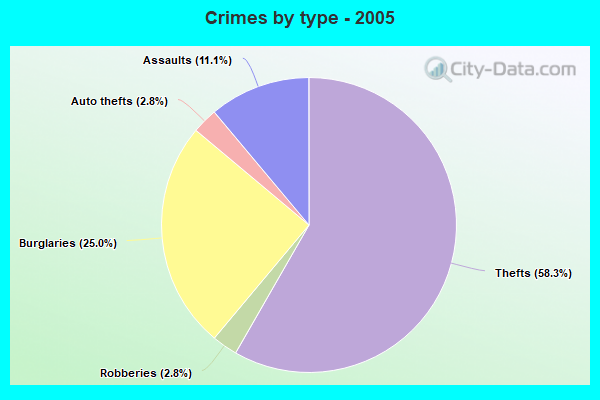 Crimes by type - 2005