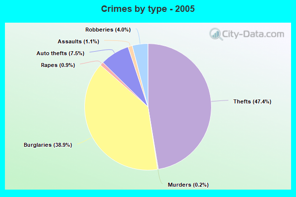 Crimes by type - 2005