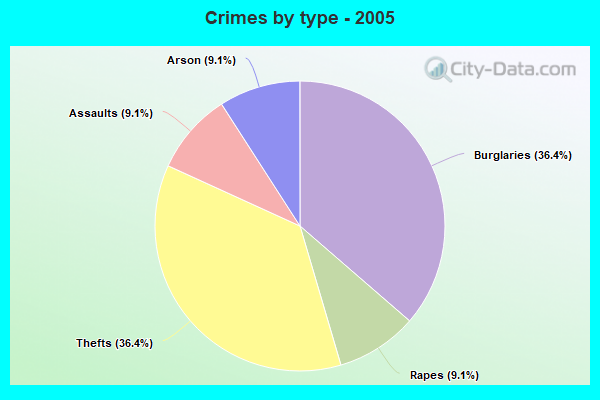 Crimes by type - 2005