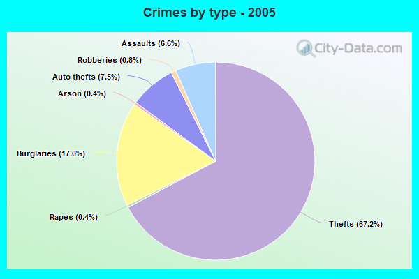 Crimes by type - 2005