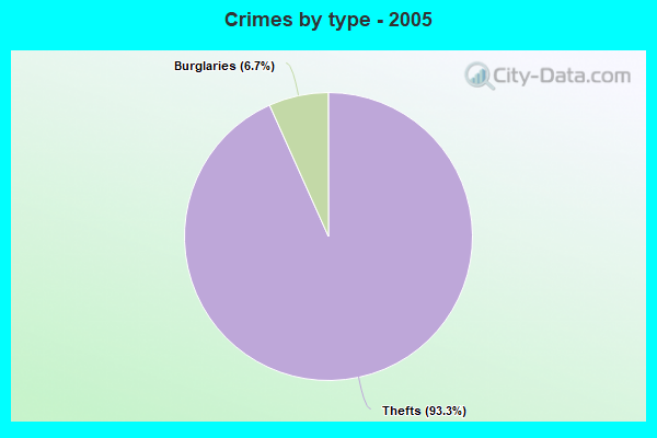 Crimes by type - 2005