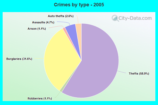 Crimes by type - 2005