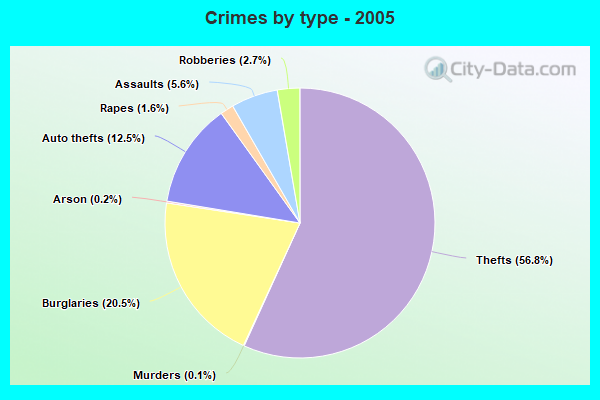 Crimes by type - 2005