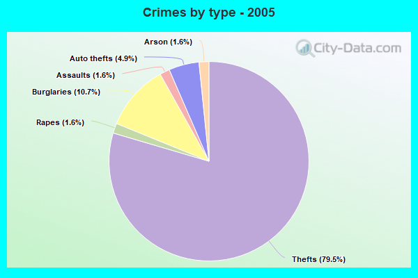 Crimes by type - 2005