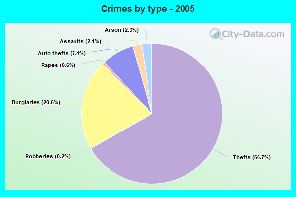 Crimes by type - 2005