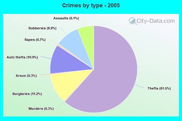 Crimes by type - 2005