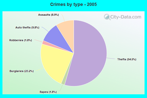 Crimes by type - 2005