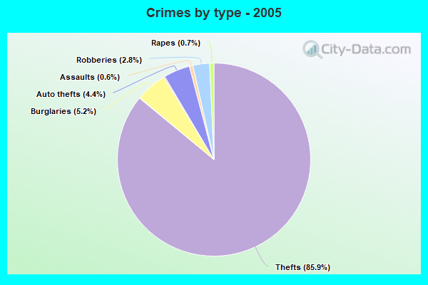 Crimes by type - 2005