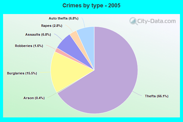 Crimes by type - 2005