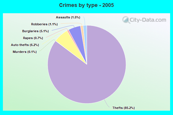 Crimes by type - 2005