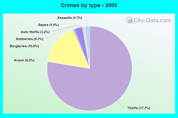 Crimes by type - 2005