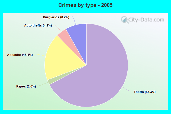 Crimes by type - 2005