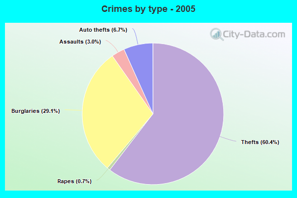 Crimes by type - 2005