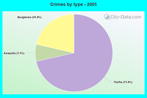 Crimes by type - 2005