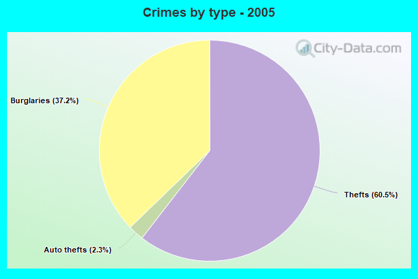 Crimes by type - 2005