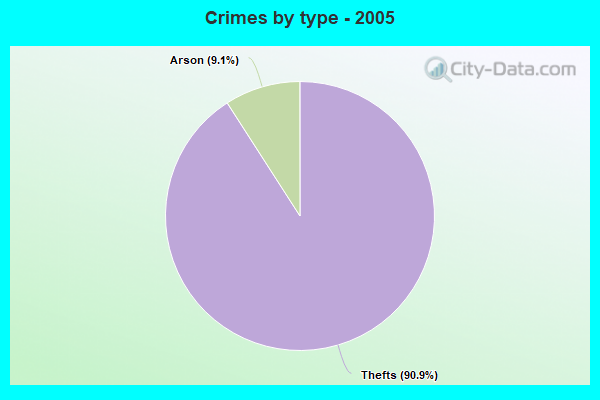 Crimes by type - 2005