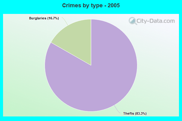 Crimes by type - 2005