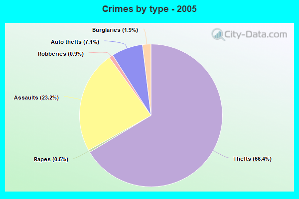 Crimes by type - 2005