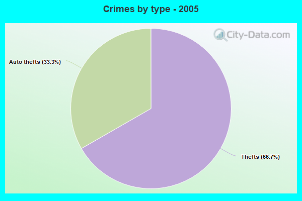 Crimes by type - 2005