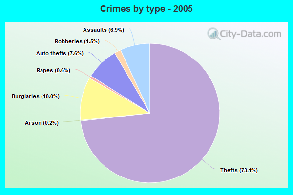 Crimes by type - 2005