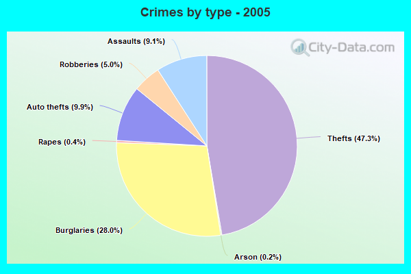 Crimes by type - 2005