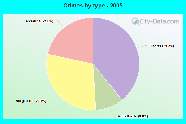 Crimes by type - 2005