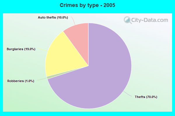 Crimes by type - 2005