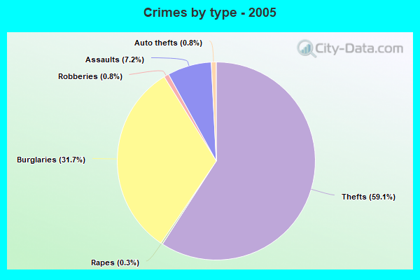 Crimes by type - 2005