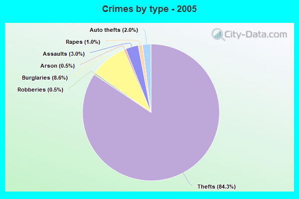 Crimes by type - 2005