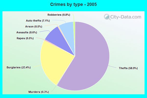 Crimes by type - 2005