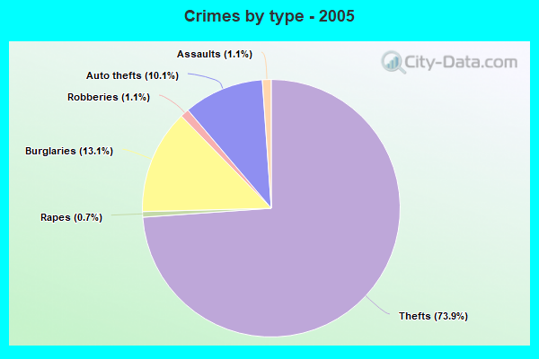 Crimes by type - 2005