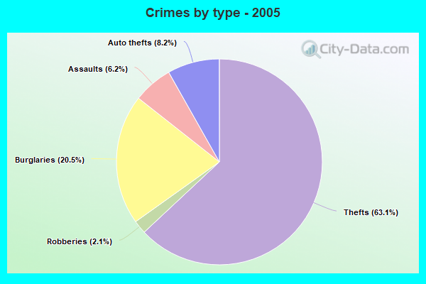 Crimes by type - 2005