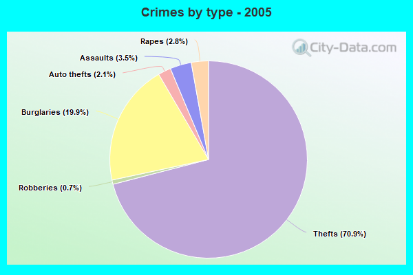 Crimes by type - 2005