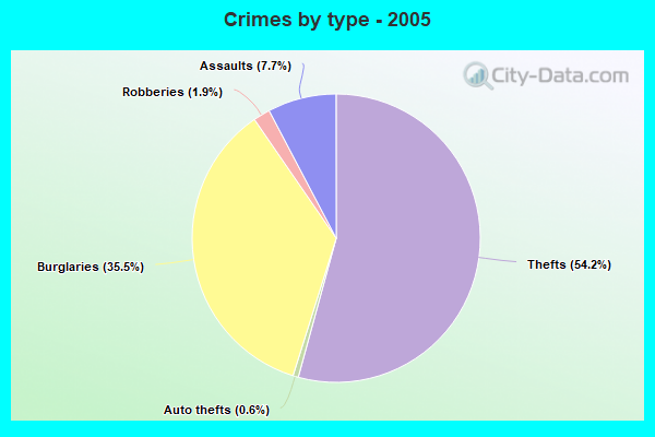 Crimes by type - 2005