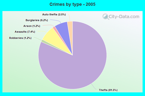 Crimes by type - 2005