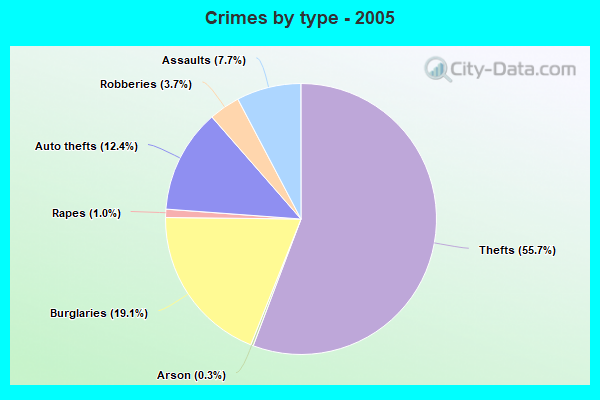 Crimes by type - 2005